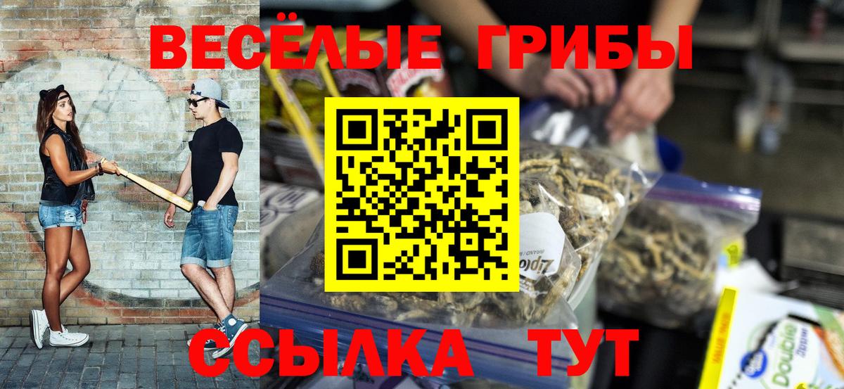Псилоцибиновые грибы GOLDEN TEACHER Улан-Удэ