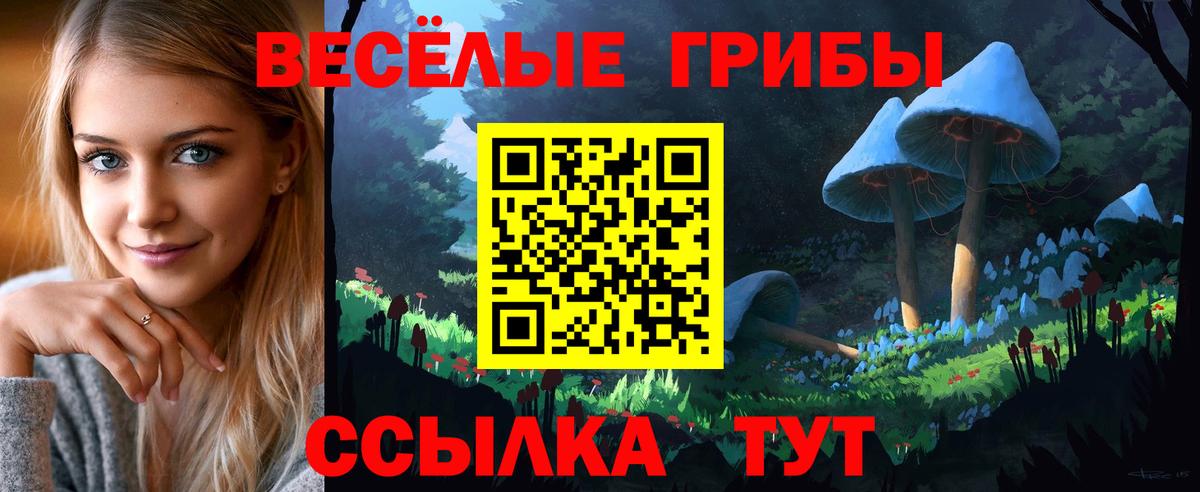 Псилоцибиновые грибы MAGIC MUSHROOMS  Вход с VPN  Галлюциногенные грибы MAGIC MUSHROOMS  Улан-Удэ 